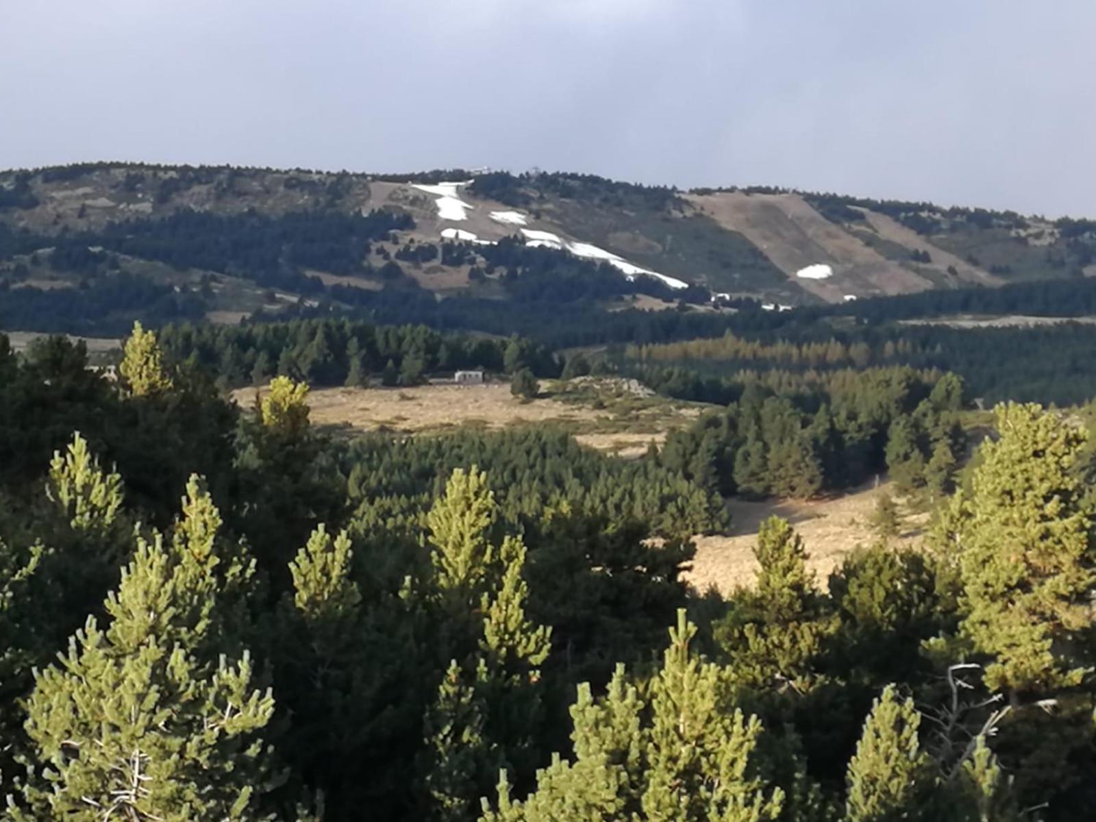 Pyrenees Catalanes Tres Joli Appartement 300M Telecabines Font-Romeu-Odeillo-Via Bagian luar foto