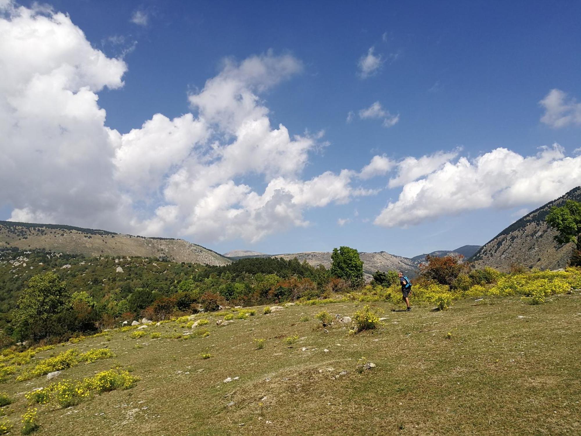 Pyrenees Catalanes Tres Joli Appartement 300M Telecabines Font-Romeu-Odeillo-Via Bagian luar foto